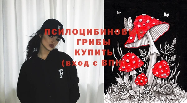 прущие крисы Алексин