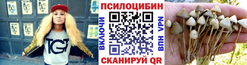 Галлюциногенные грибы GOLDEN TEACHER Южно-Сухокумск